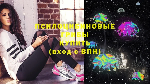 сатива Бронницы