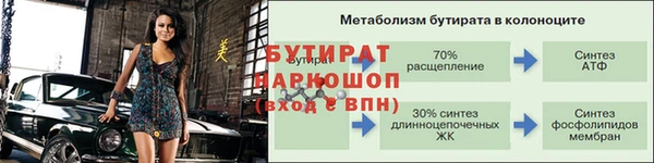 сатива Бронницы