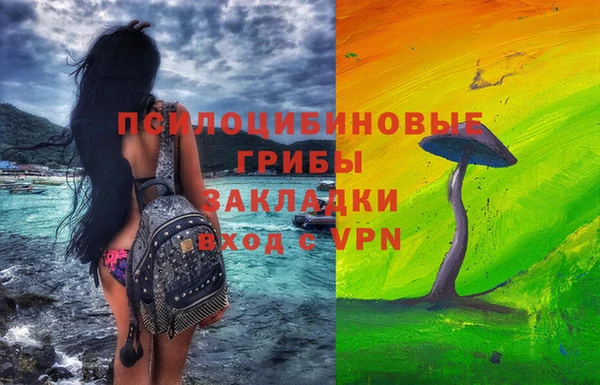 сатива Бронницы