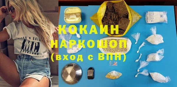 сатива Бронницы