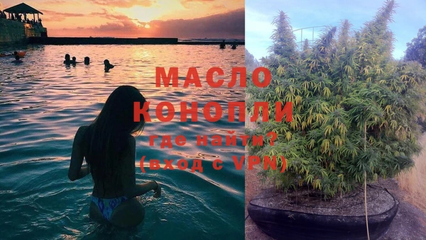 сатива Бронницы